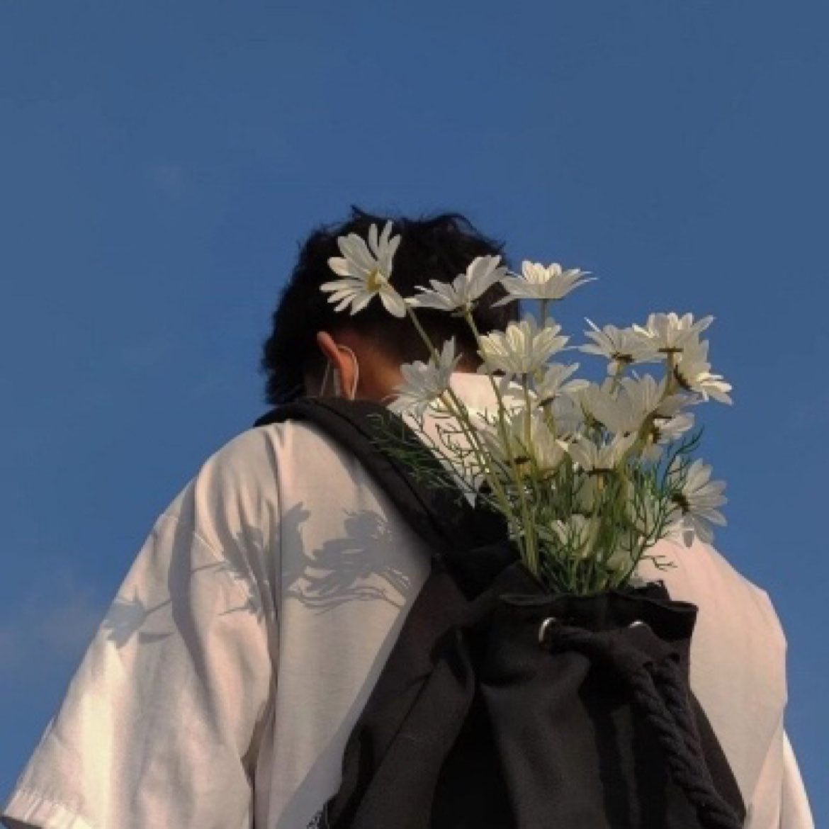 球析如神