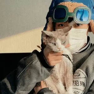 景哥数据