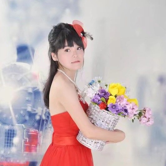 数据女精析侠