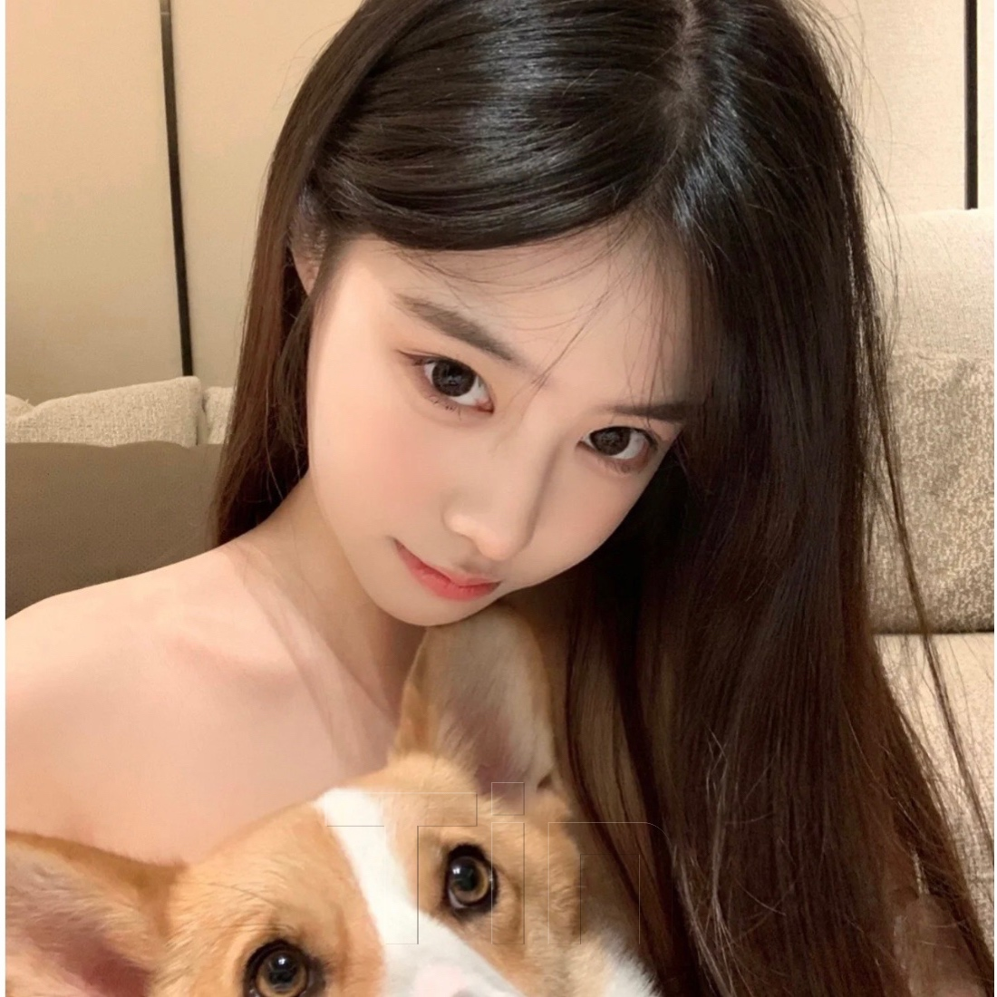 美美看球